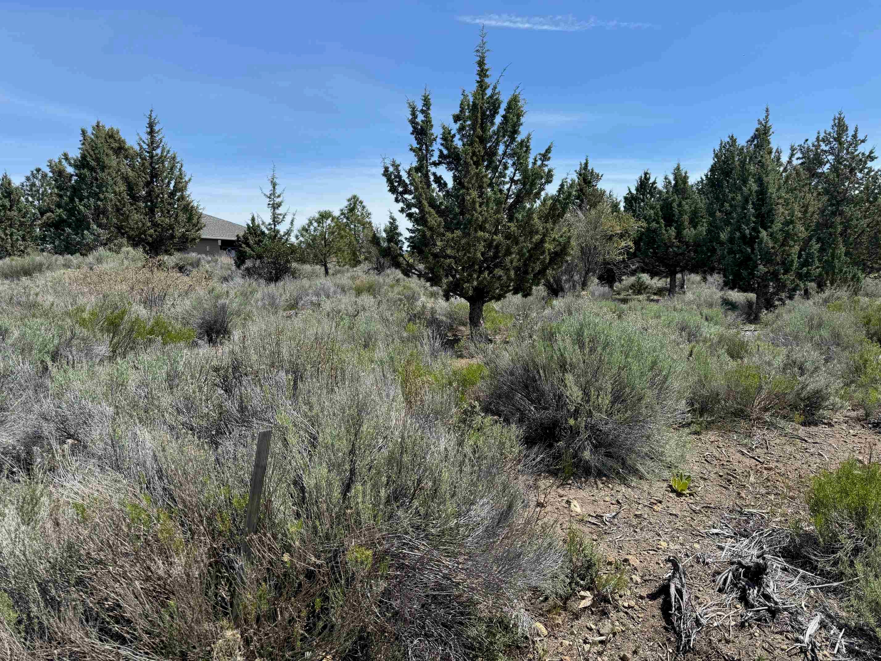 8-2 Lot 103 Archer Road Weed, CA 96094 - Photo 1 of 30 Gallery Image 1