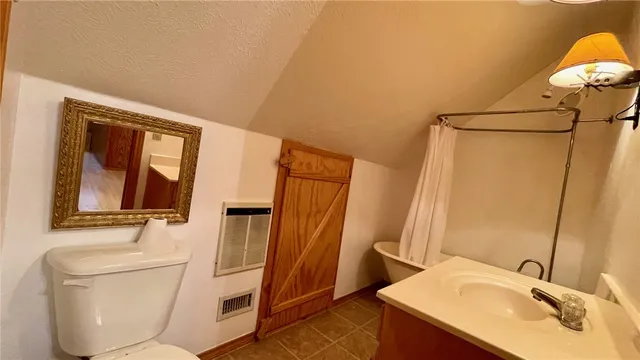 a bathroom with a sink vanity and toilet