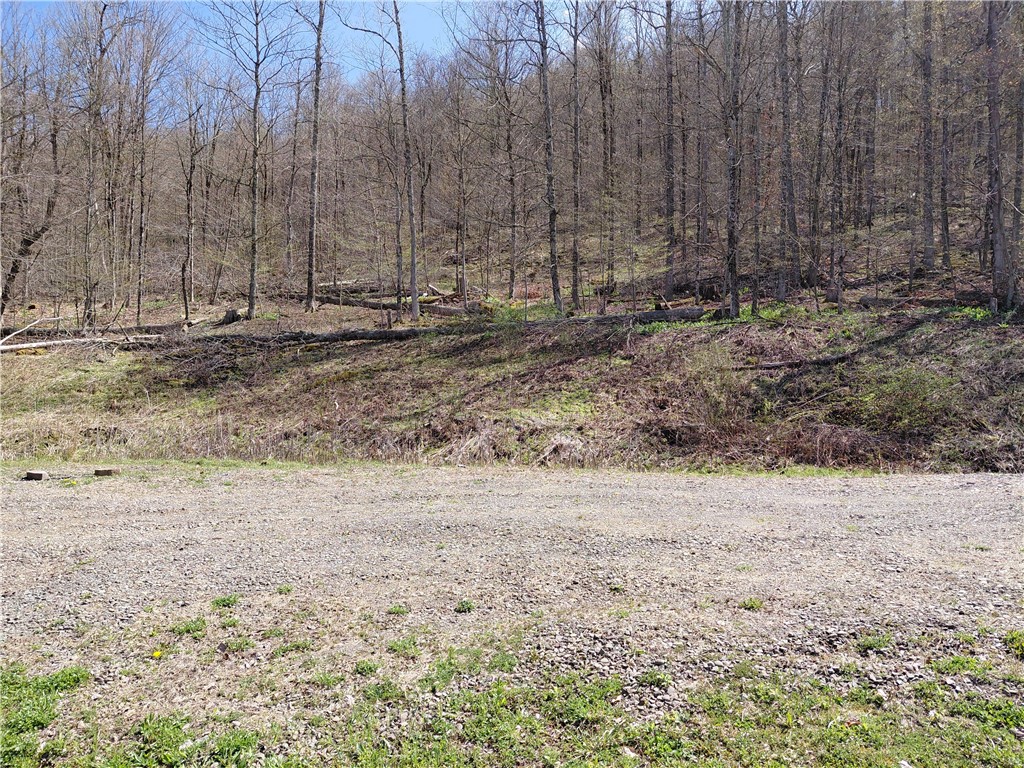 2930 Blue School Road Franklin, NY 13775 - Photo 16 of 20