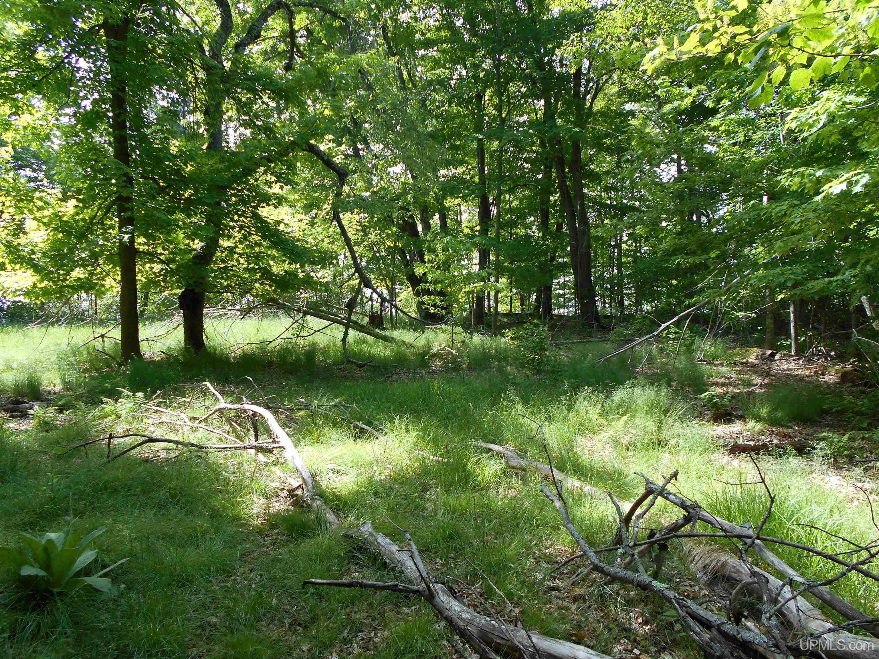 Tbd West Parcel B Little Harbor Road Manistique, MI 49854 - Photo 28 of 43 Gallery Image 28