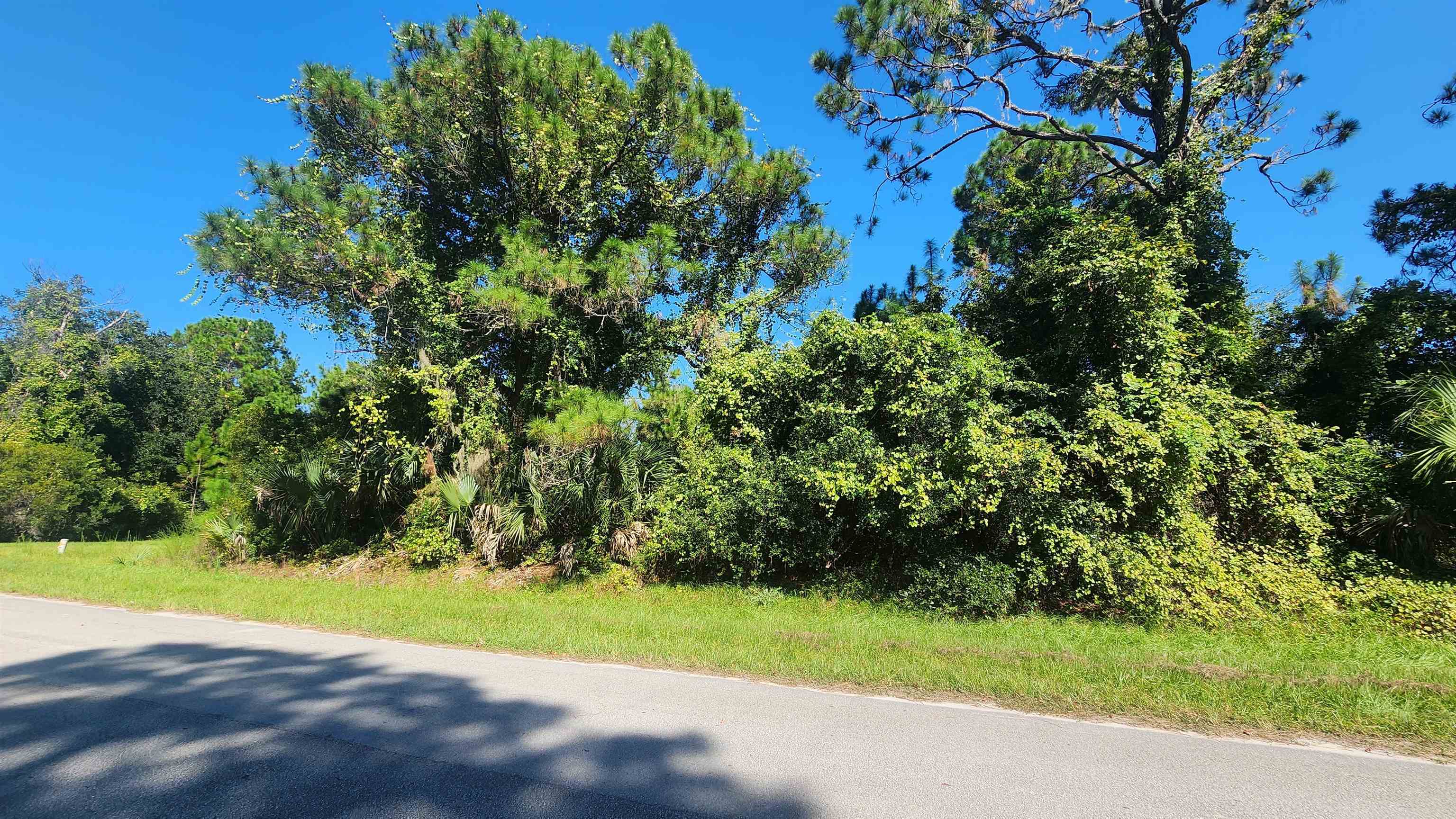 Gardenia Avenue Georgetown, FL 32139 - Photo 1 of 6 Gallery Image 1