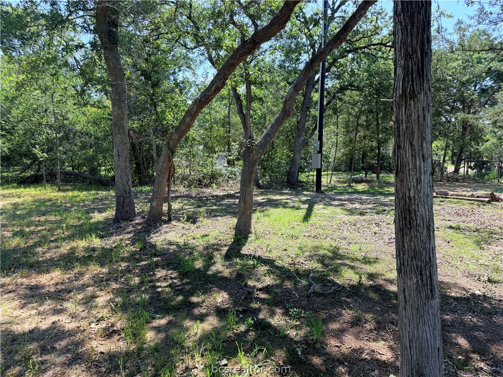 281 Redberry Road Somerville, TX 77879 - Photo 4 of 15