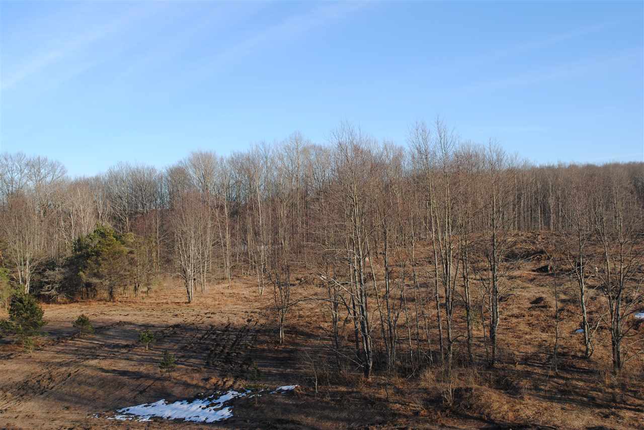 7033 West Phelps Road Manton, MI 49663 - Photo 10 of 63 1812764-10.JPG