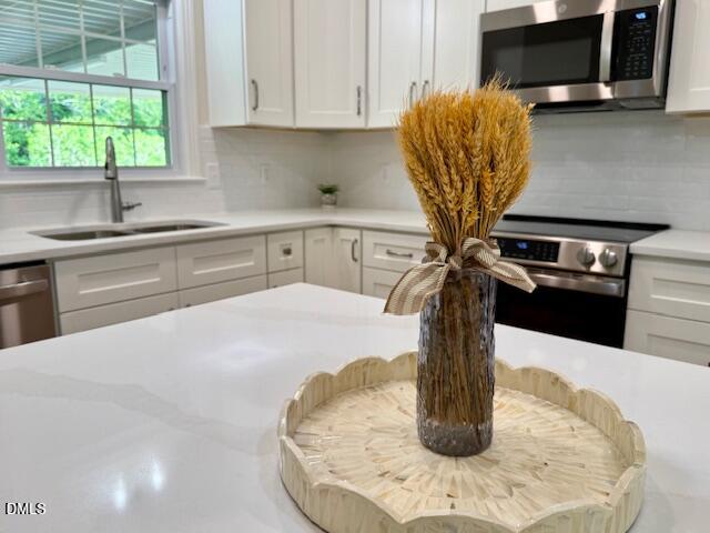 319 Reade Drive Roxboro, NC 27573 - Photo 29 of 54 IMG_0587