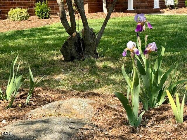 319 Reade Drive Roxboro, NC 27573 - Photo 5 of 54 IMG_0577