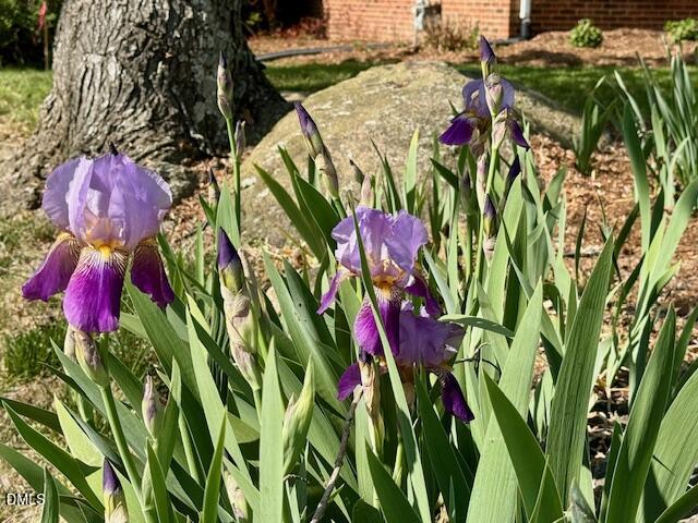 319 Reade Drive Roxboro, NC 27573 - Photo 6 of 54 IMG_0578