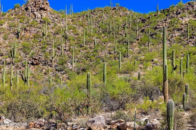a view of a city with sunset view