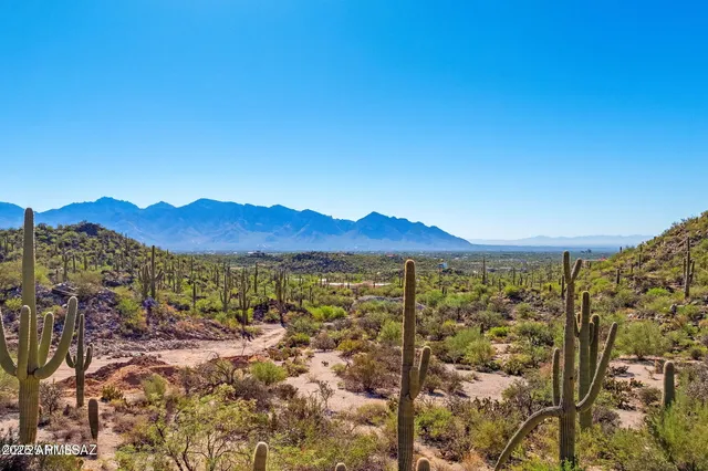 a view of a backyard with a sink