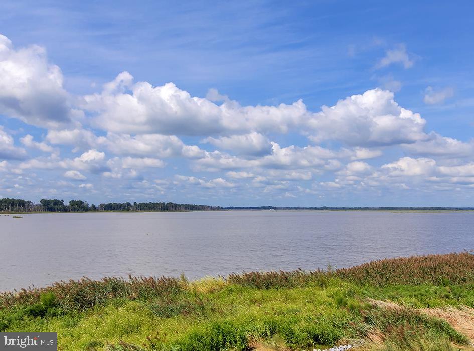 Prime Hook Road Milford, DE 19963 - Photo 4 of 4 The back bay and wildlife area