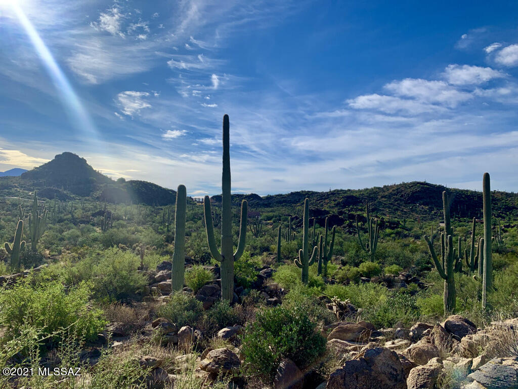 North Sacred Canyon Road Marana, AZ 85658 - Photo 1 of 16