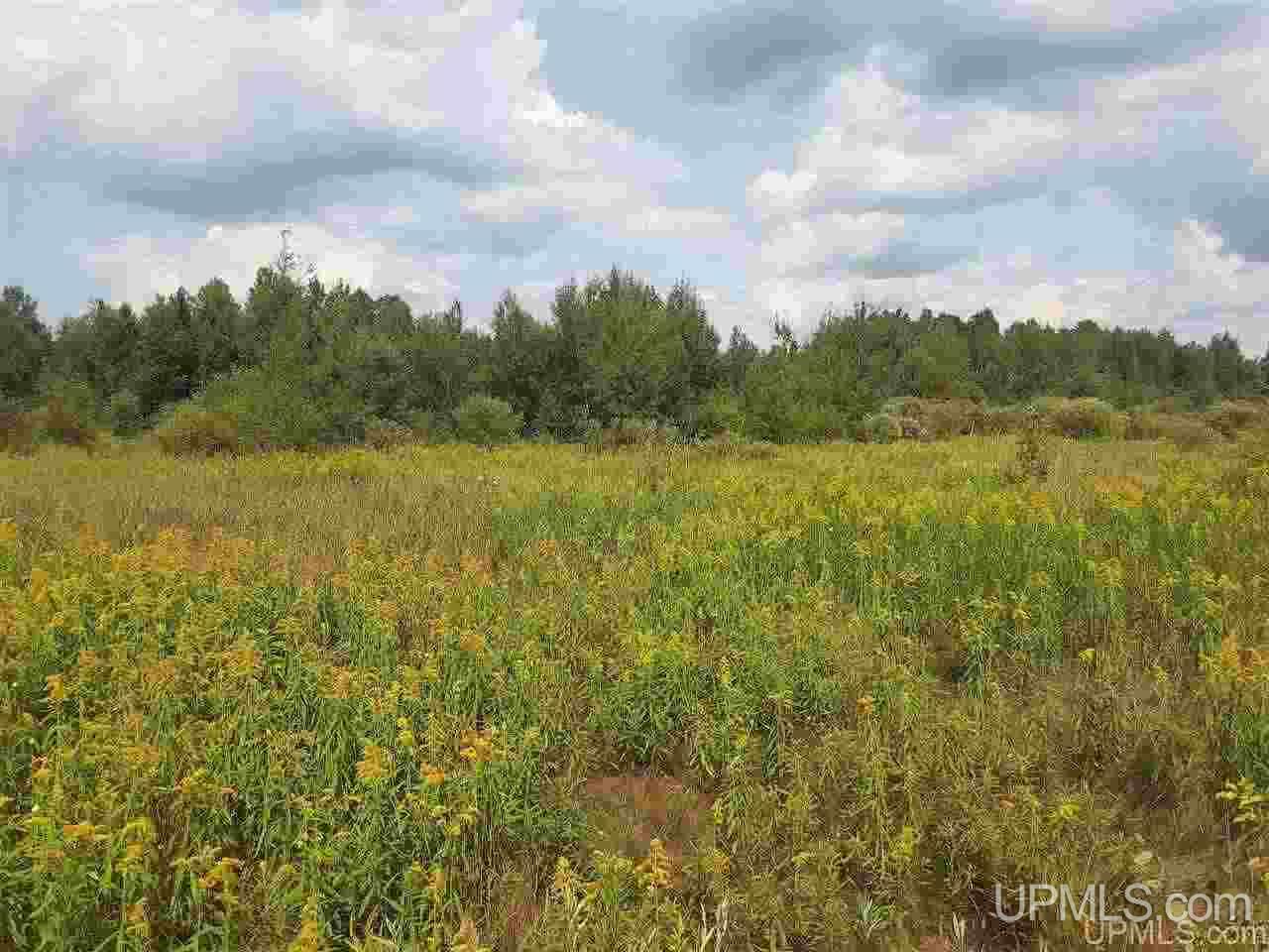 Tbd Wertanen Road Wakefield, MI 49968 - Photo 7 of 8