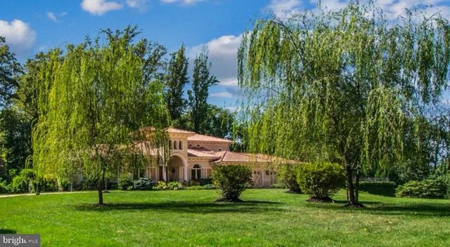 a view of a park with large trees
