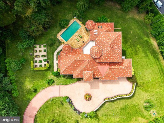 a view of a park with a large trees