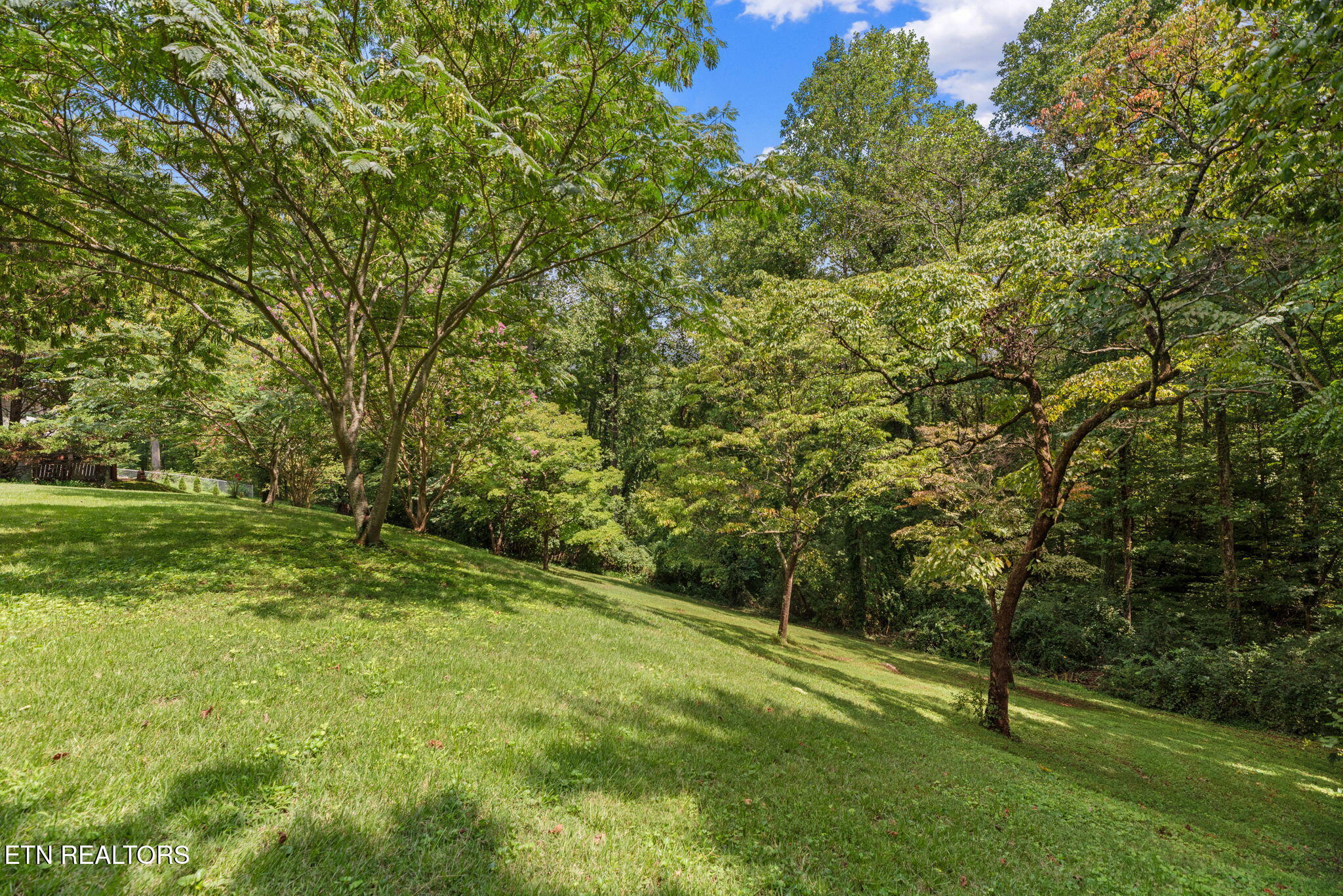 112 Orange Lane Oak Ridge, TN 37830 - Photo 41 of 44 41-web-or-mls-Orng112 (118)
