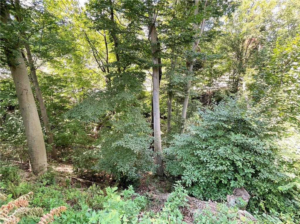 2310 North Forest Grove Road Coraopolis, PA 15108 - Photo 50 of 50 a view of a forest with lush green forest