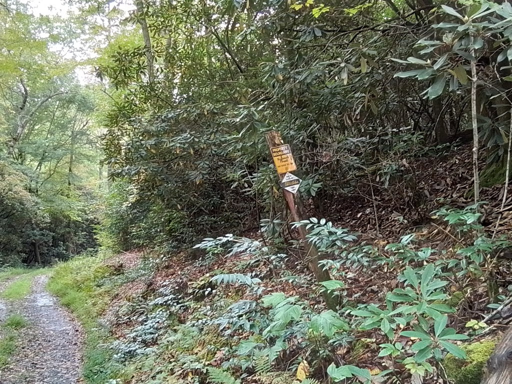 End Of Tanglewood Ridge Murphy, NC 28906 - Photo 25 of 38