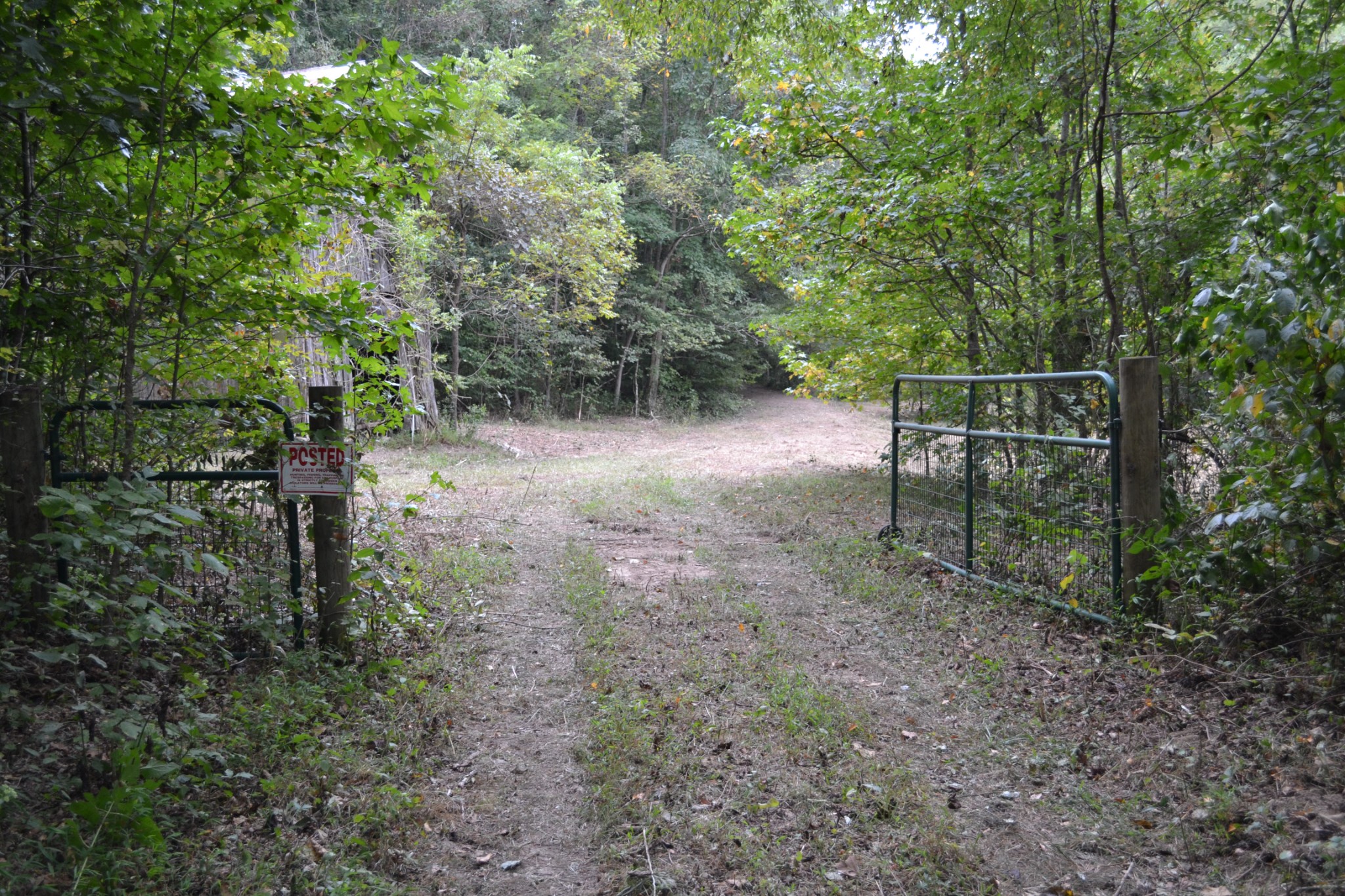 0 Cub Creek Road Indian Mound, TN 37079 - Photo 1 of 26 Gallery Image 1