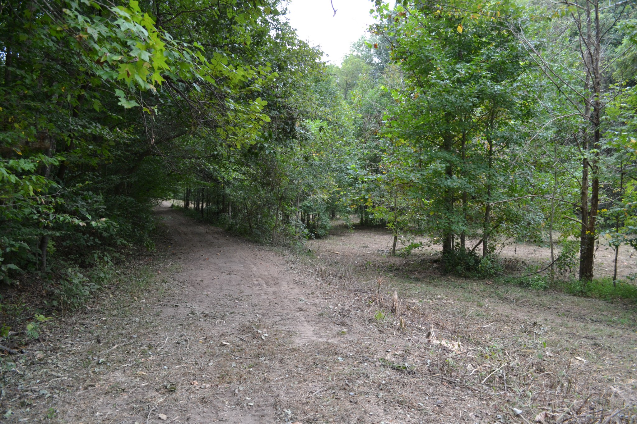 0 Cub Creek Road Indian Mound, TN 37079 - Photo 11 of 26 Gallery Image 11
