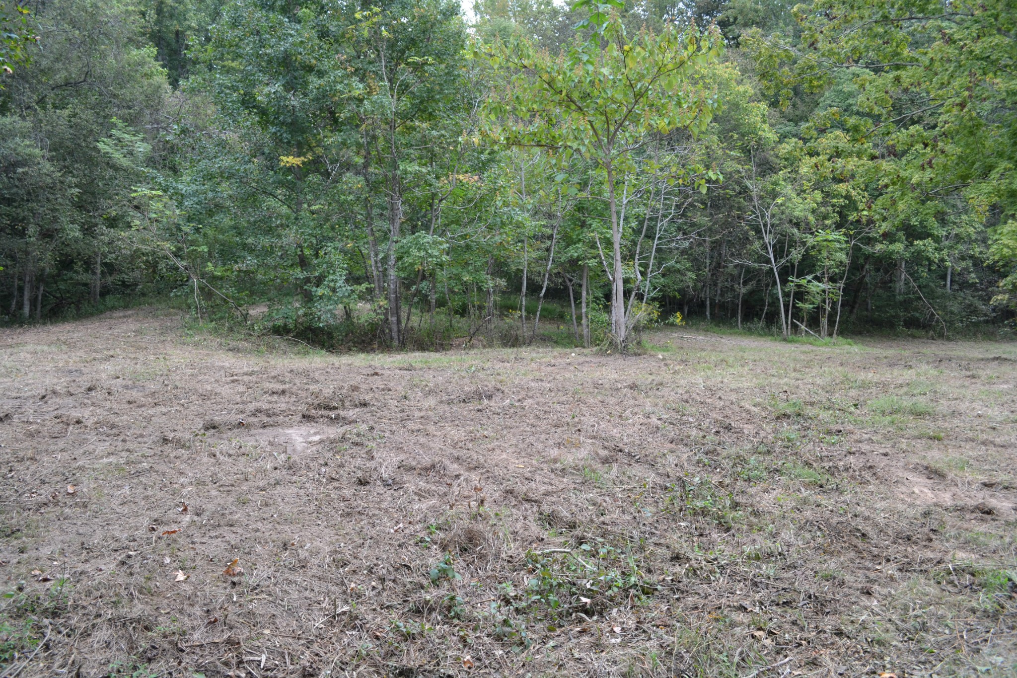 0 Cub Creek Road Indian Mound, TN 37079 - Photo 13 of 26 Gallery Image 13