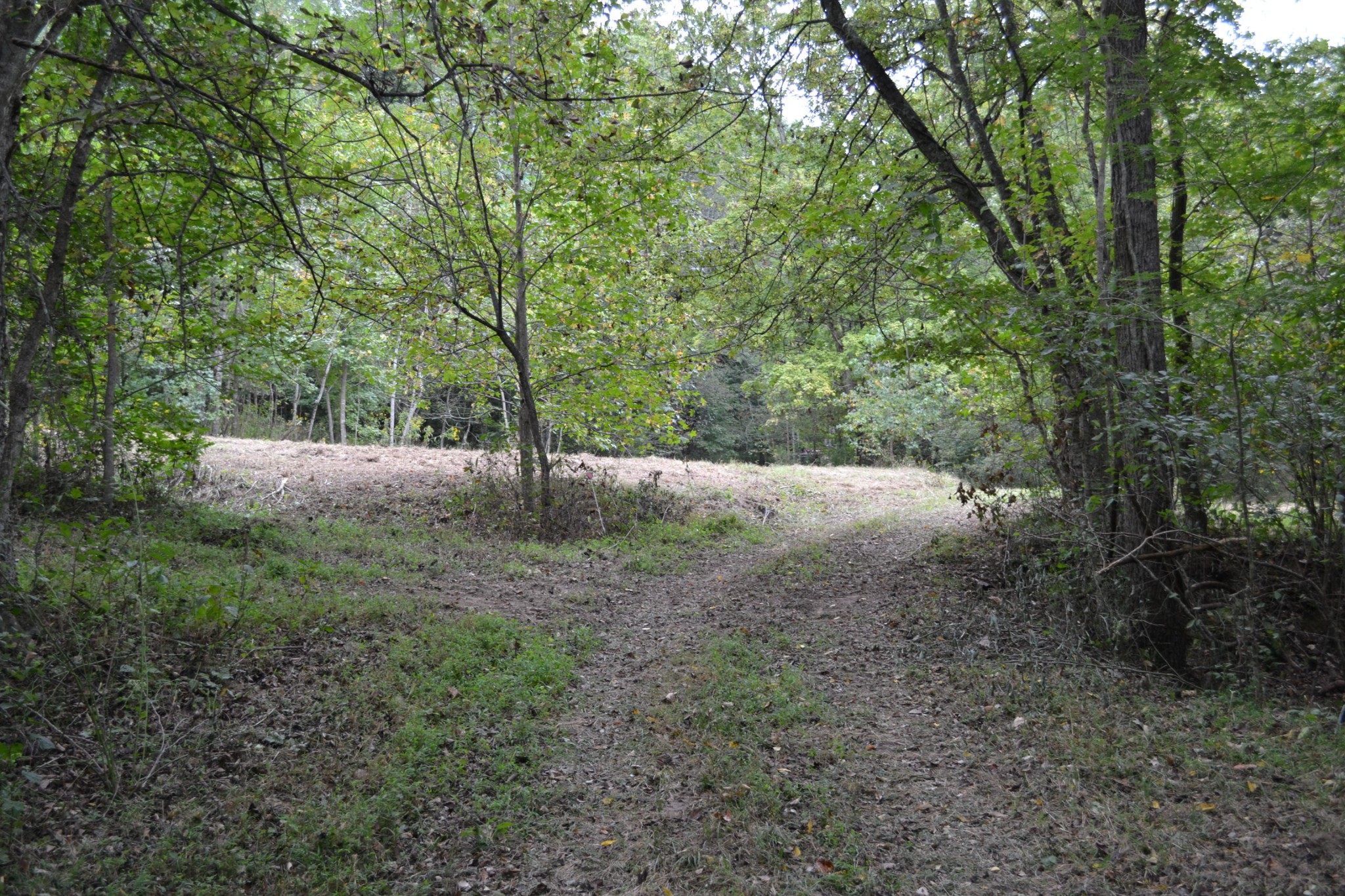 0 Cub Creek Road Indian Mound, TN 37079 - Photo 14 of 26 Gallery Image 14