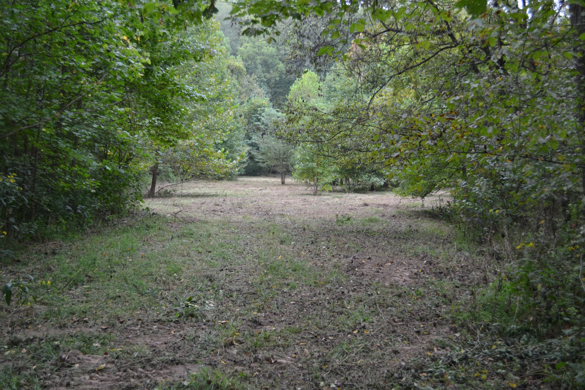 0 Cub Creek Road Indian Mound, TN 37079 - Photo 16 of 26 Gallery Image 16