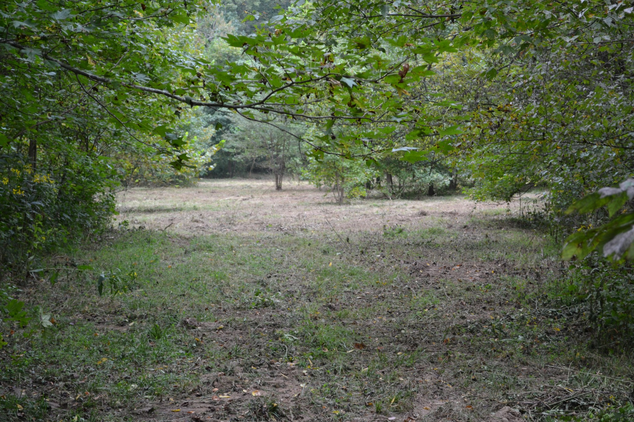 0 Cub Creek Road Indian Mound, TN 37079 - Photo 21 of 26 Gallery Image 21