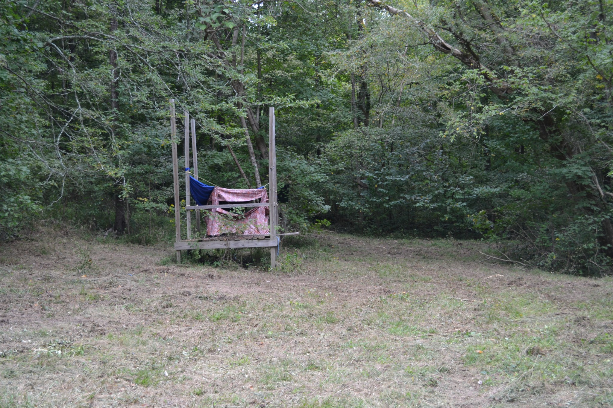 0 Cub Creek Road Indian Mound, TN 37079 - Photo 24 of 26 Gallery Image 24