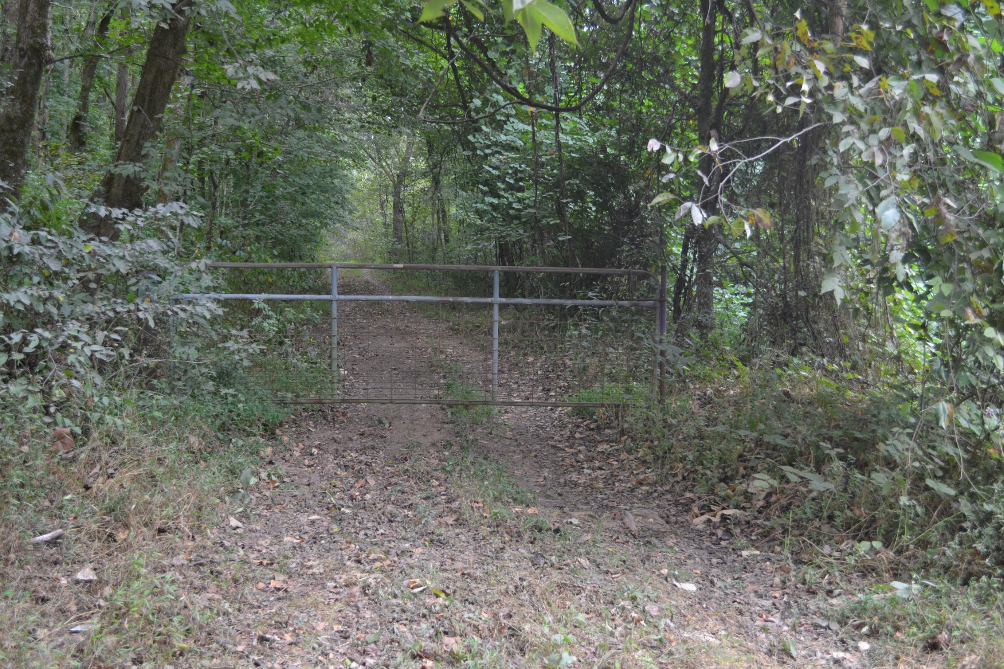0 Cub Creek Road Indian Mound, TN 37079 - Photo 3 of 26 Gallery Image 3