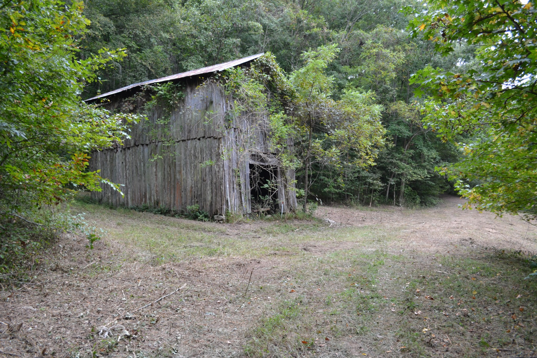 0 Cub Creek Road Indian Mound, TN 37079 - Photo 5 of 26 Gallery Image 5