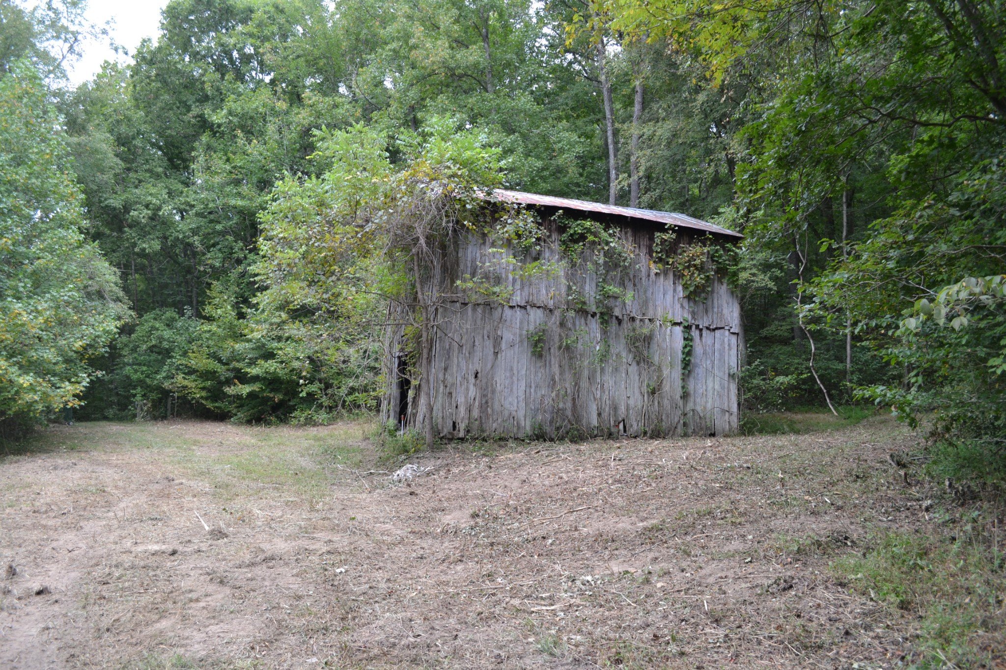 0 Cub Creek Road Indian Mound, TN 37079 - Photo 6 of 26 Gallery Image 6