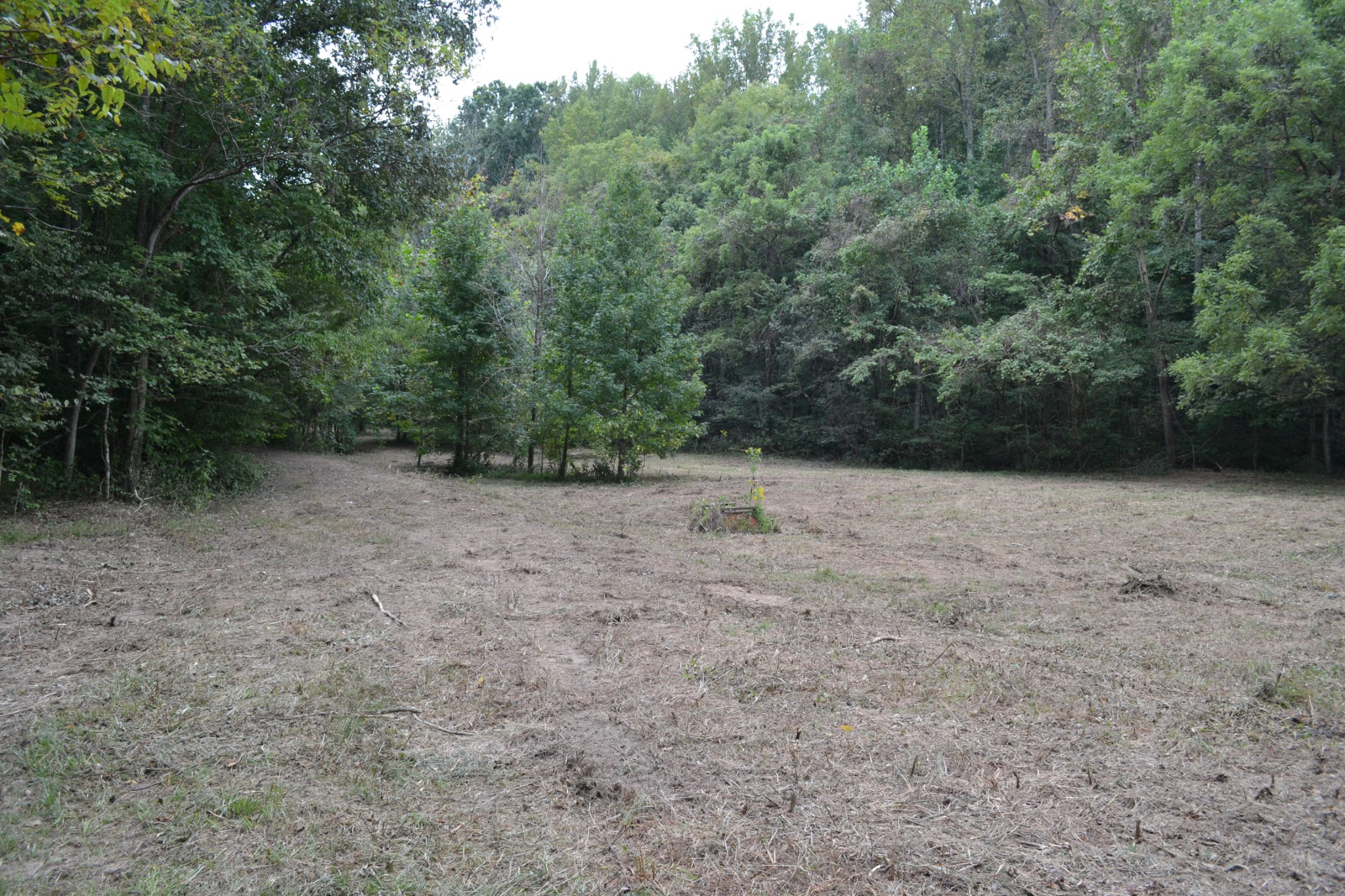 0 Cub Creek Road Indian Mound, TN 37079 - Photo 7 of 26 Gallery Image 7
