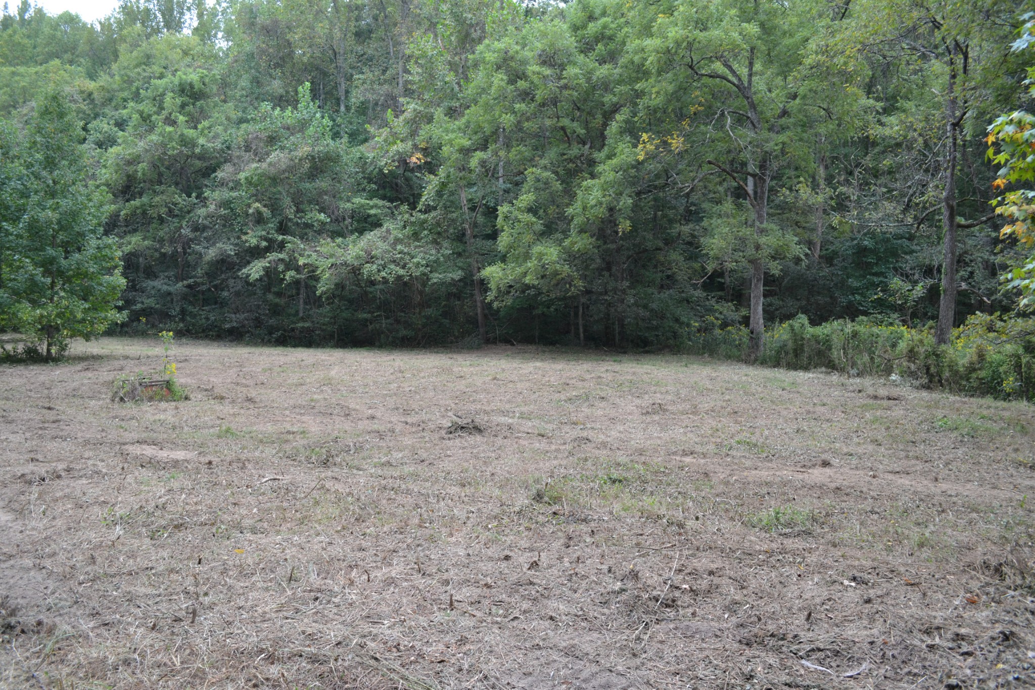 0 Cub Creek Road Indian Mound, TN 37079 - Photo 8 of 26 Gallery Image 8