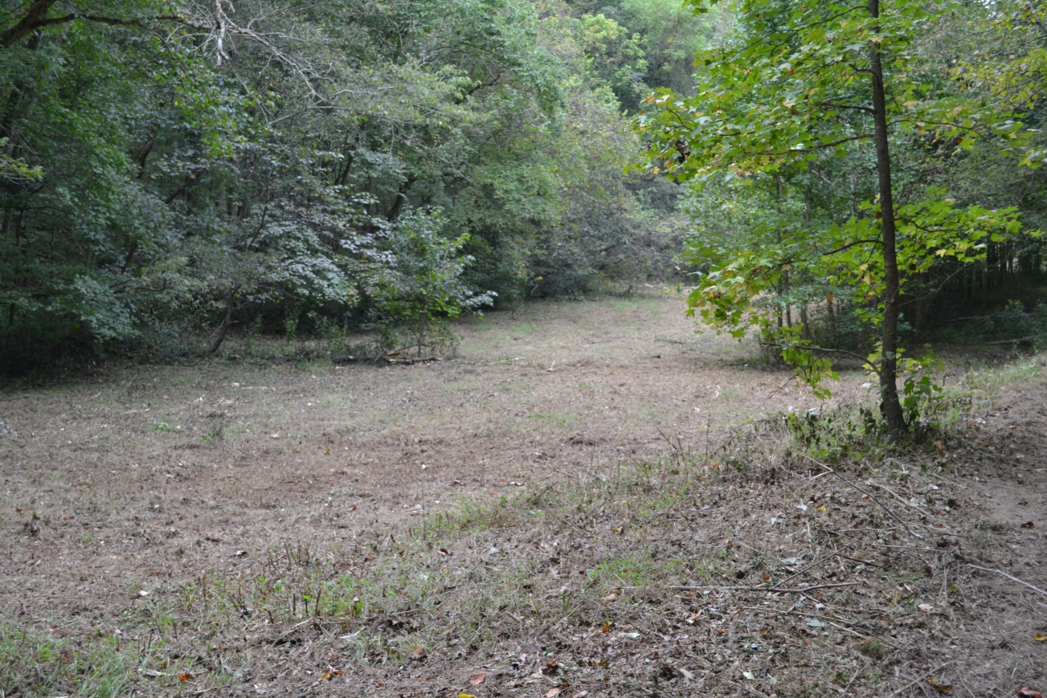 0 Cub Creek Road Indian Mound, TN 37079 - Photo 9 of 26 Gallery Image 9