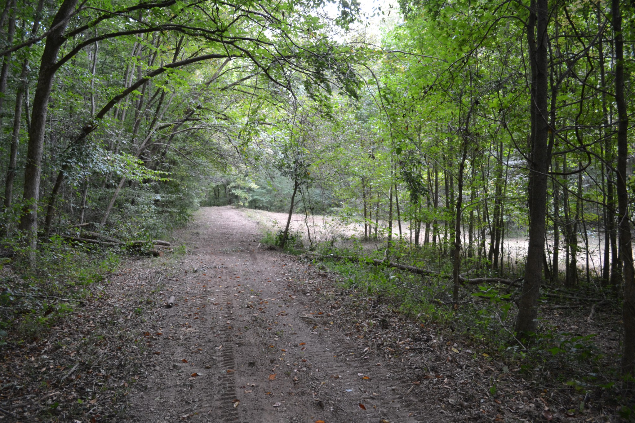 0 Cub Creek Road Indian Mound, TN 37079 - Photo 10 of 26 Gallery Image 10