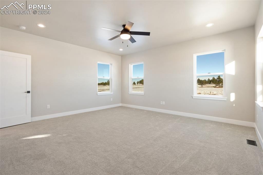 17615 Blacksmith Drive Peyton, CO 80831 - Photo 20 of 41 an empty room with windows and ceiling fan
