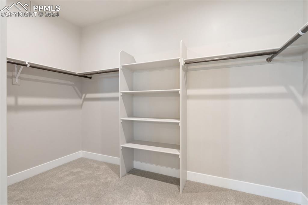 17615 Blacksmith Drive Peyton, CO 80831 - Photo 23 of 41 a view of an empty walk in closet