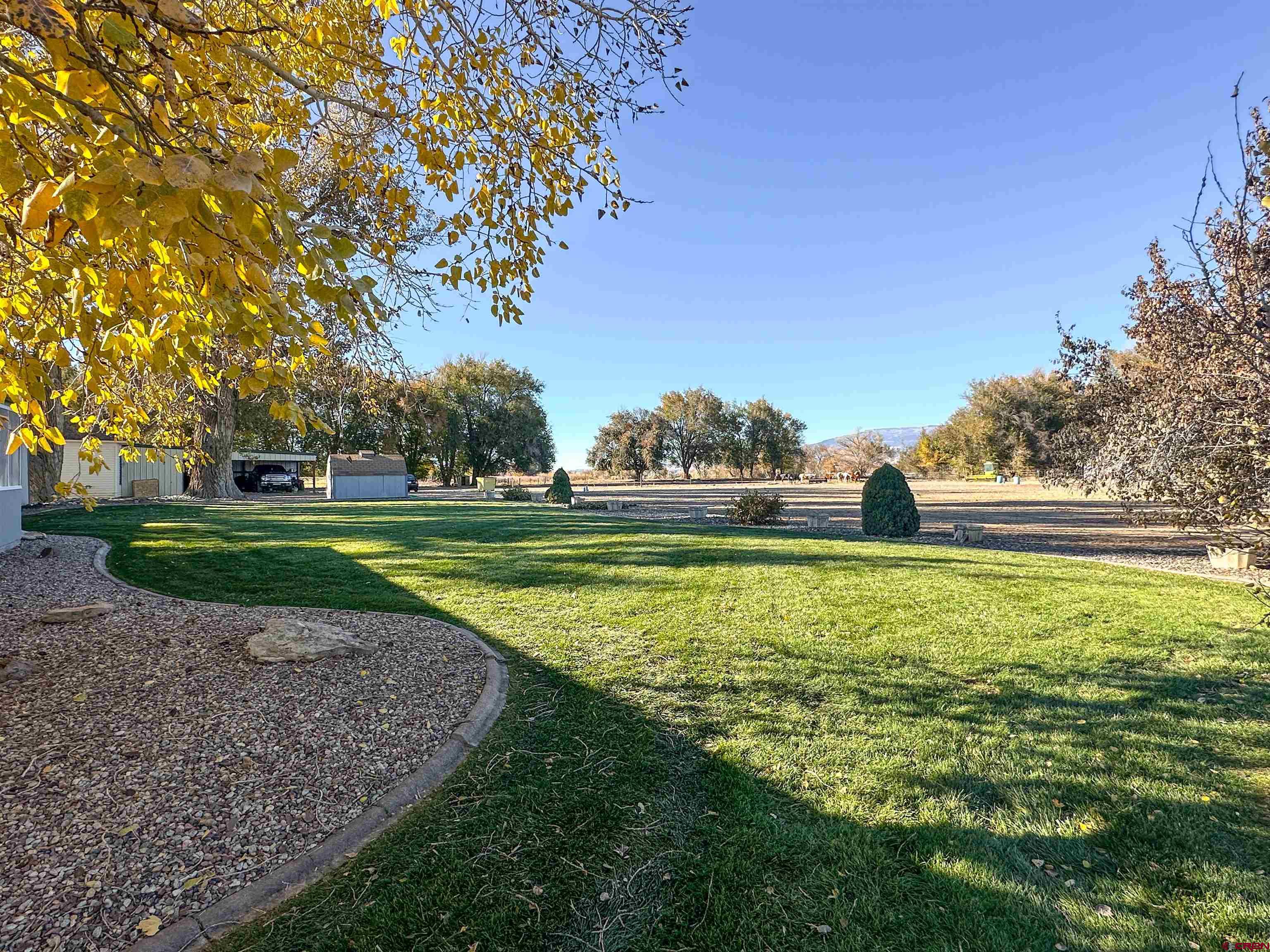 18555 F Road Delta, CO 81416 - Photo 32 of 43 a view of outdoor space with garden and trees