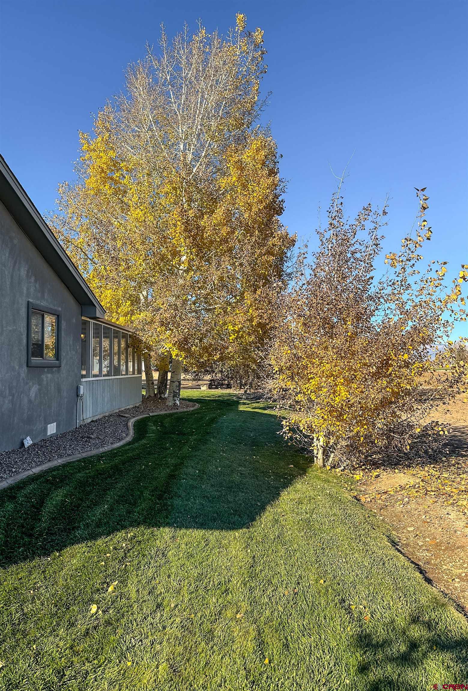 18555 F Road Delta, CO 81416 - Photo 33 of 43 a backyard of a house with lots of green space