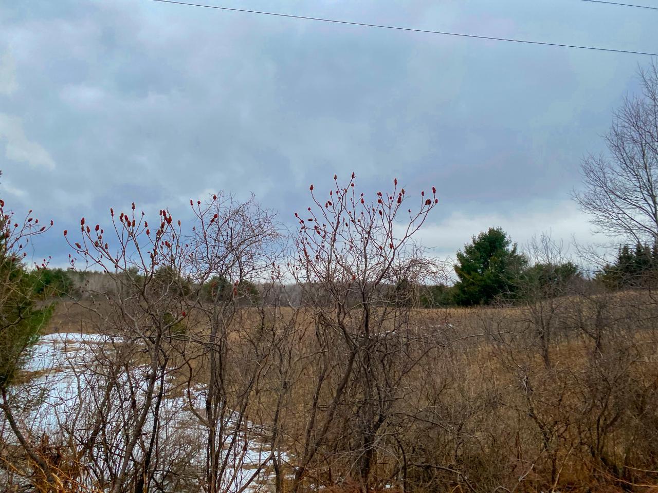 On Bolen Road, Unit LOT 1 2 Bryant, WI 54418 - Photo 22 of 25 Gallery Image 22
