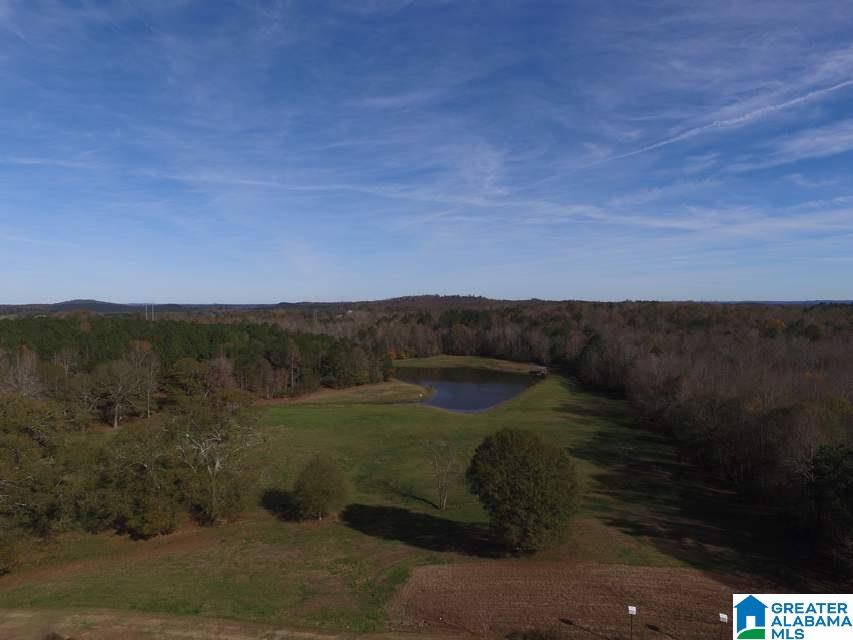 3258 Youngs Mill Road Lineville, AL 36266 - Photo 46 of 50