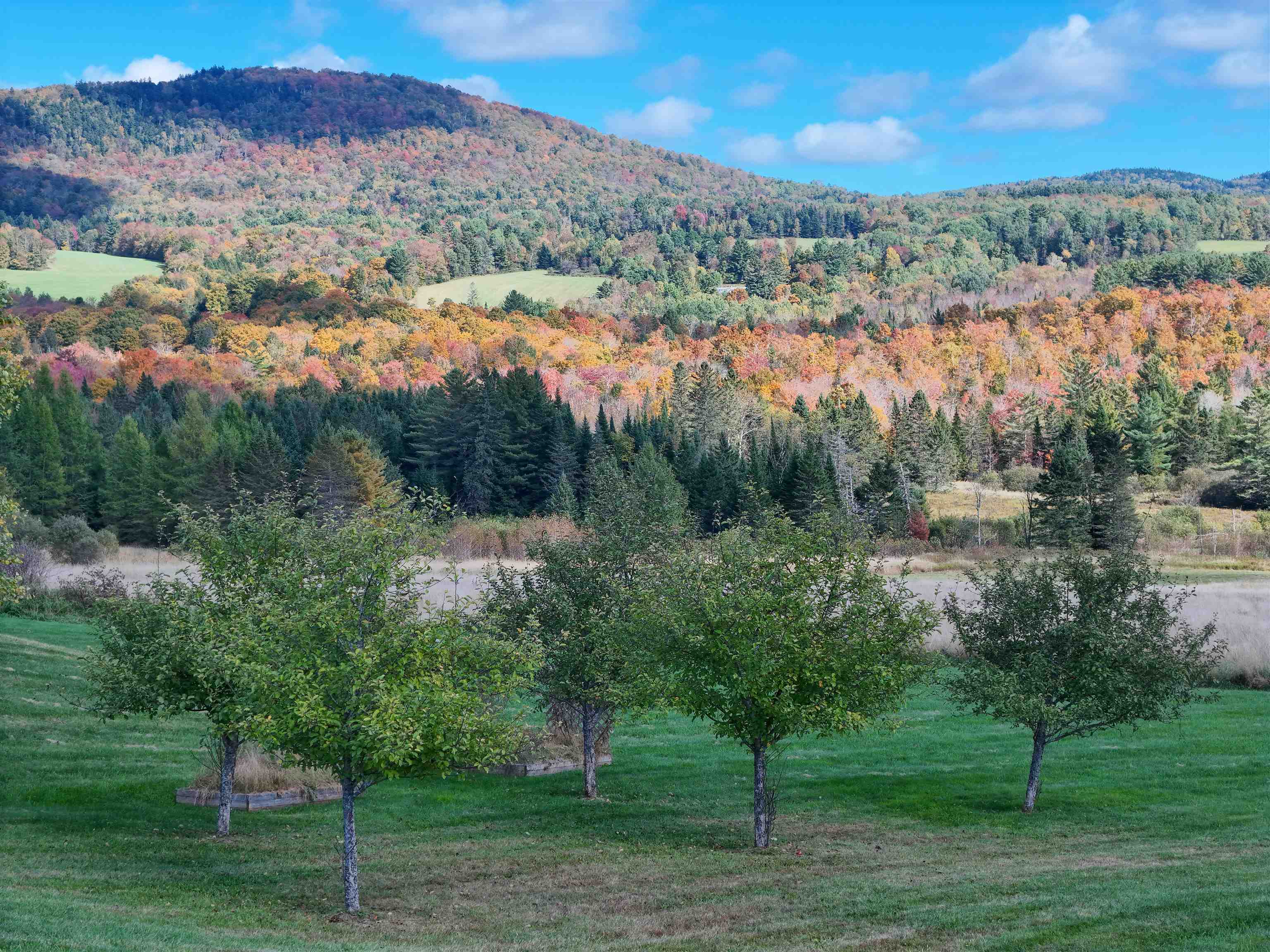 576 Ridge Road Kirby, VT 05851 - Photo 43 of 56 Gallery Image 43