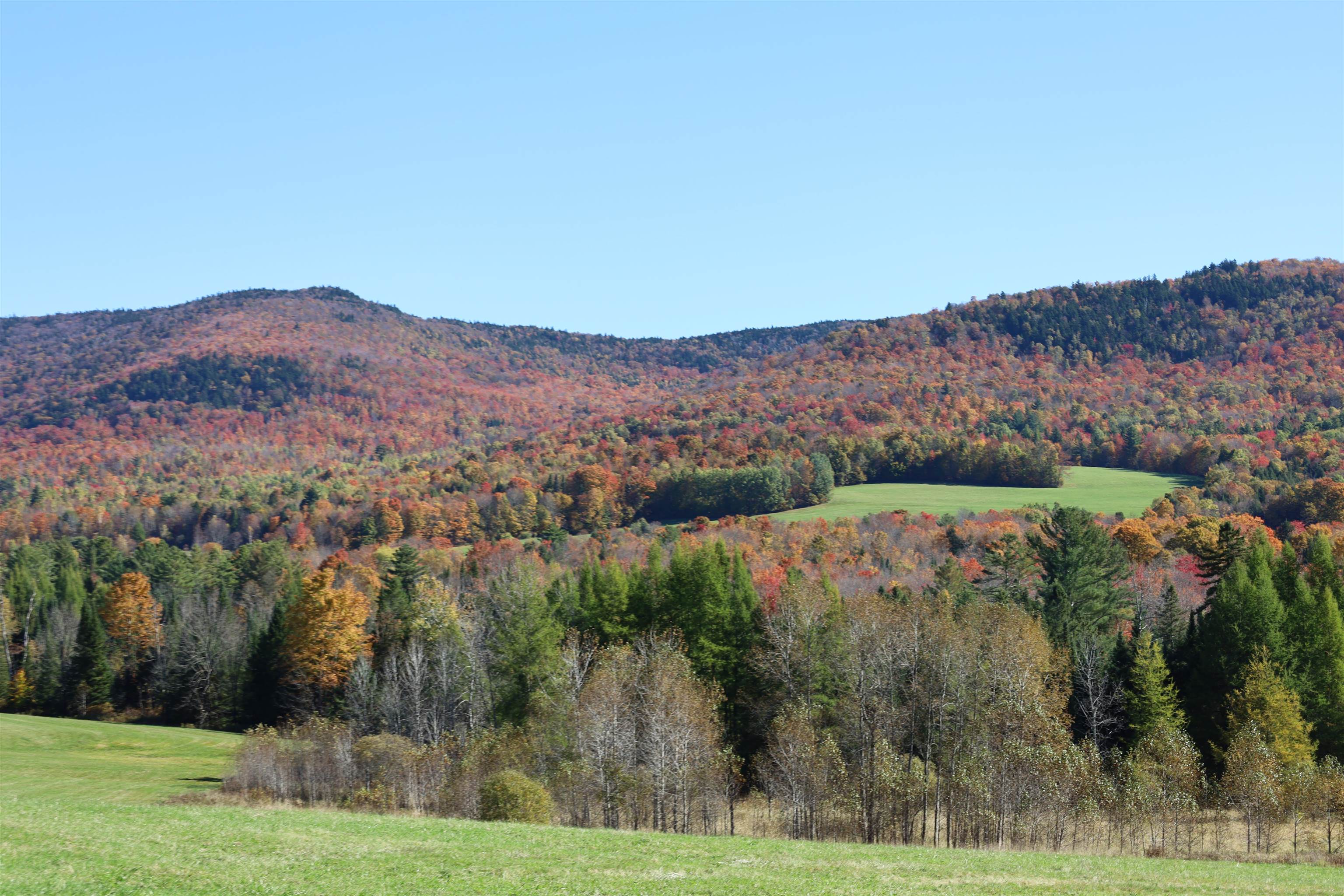 576 Ridge Road Kirby, VT 05851 - Photo 50 of 56 Gallery Image 50