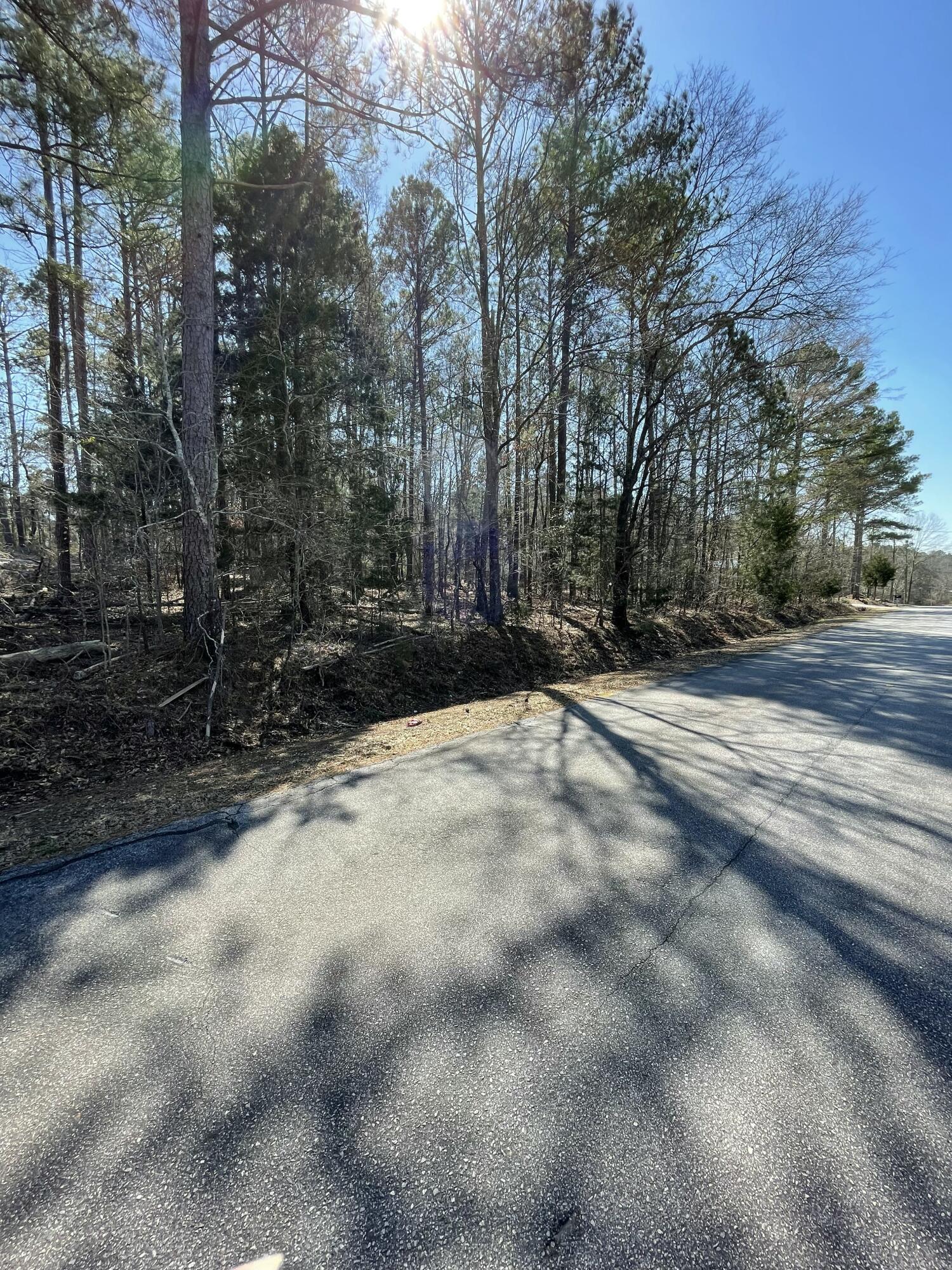 0 Westside Drive McCormick, SC 29835 - Photo 5 of 10