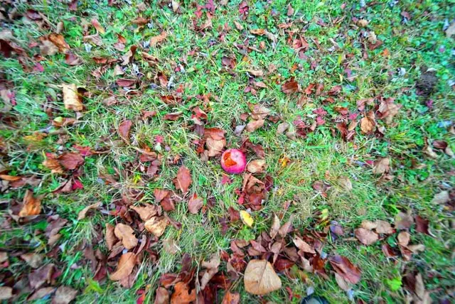 $89,500 | 42 Bootfoot Road, Bridgewater, ME 04735