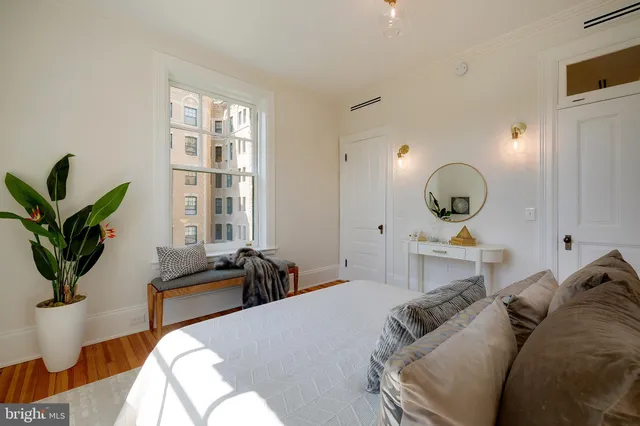 a living room with furniture a potted plant and a large window