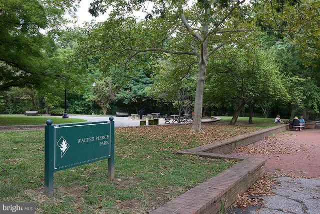 a view of a park that has large trees