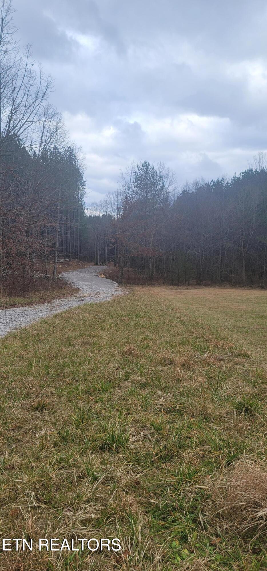 1050 Mt Vernal Road Rockwood, TN 37854 - Photo 3 of 6 20251228_141409