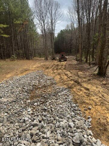 1050 Mt Vernal Road Rockwood, TN 37854 - Photo 4 of 6 IMG_2170