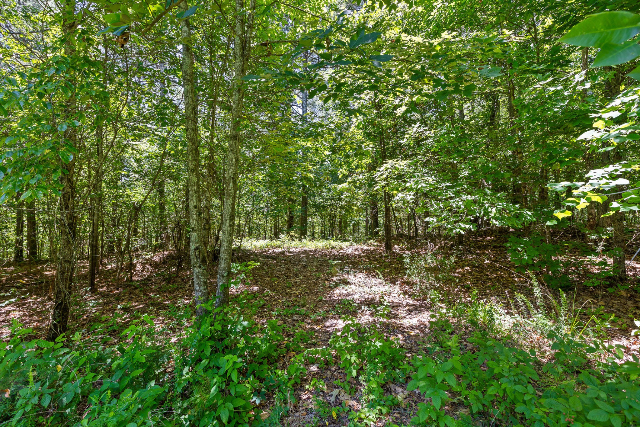 550 Northwest Hooper Gap Road Cleveland, TN 37312 - Photo 20 of 38