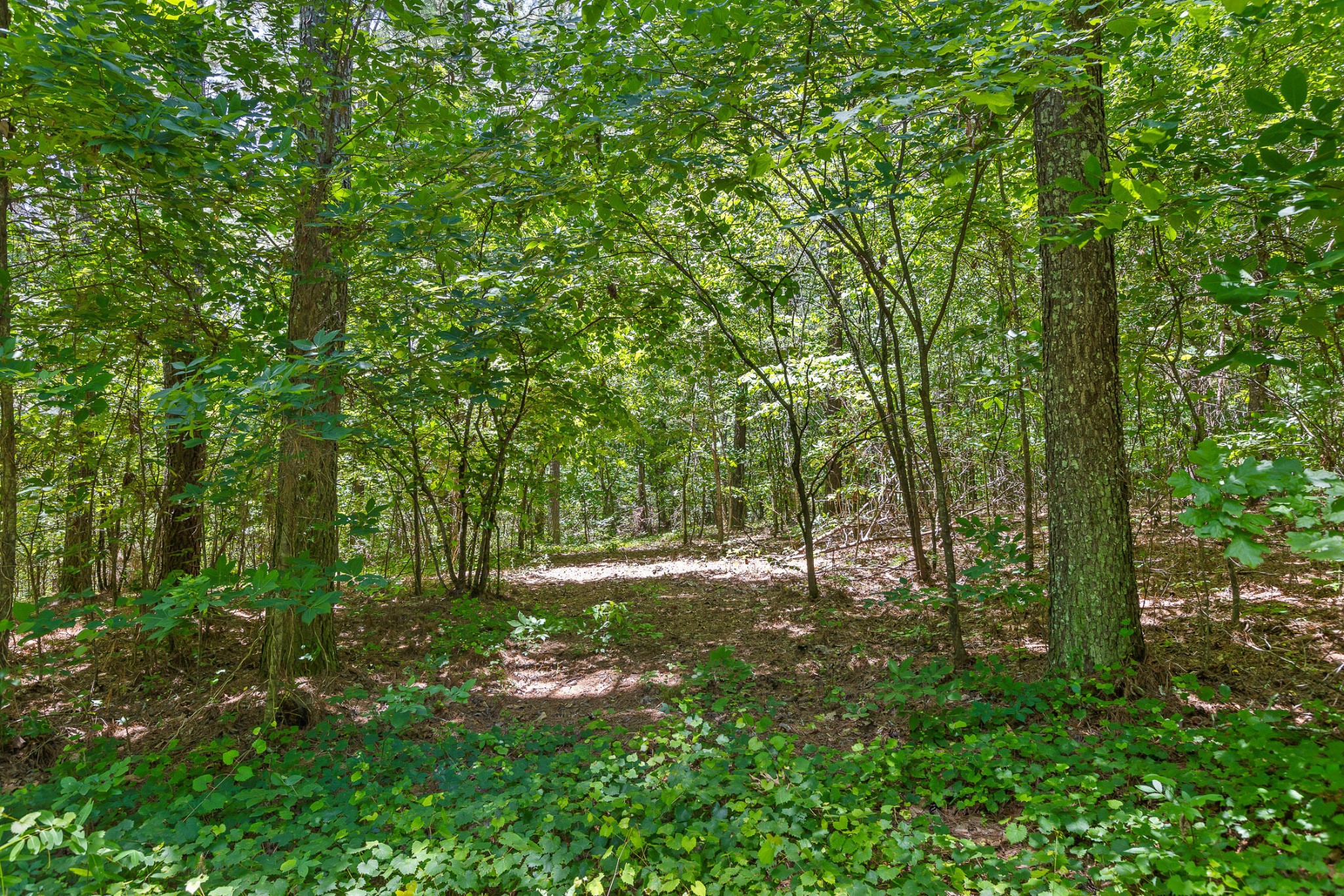 550 Northwest Hooper Gap Road Cleveland, TN 37312 - Photo 21 of 38
